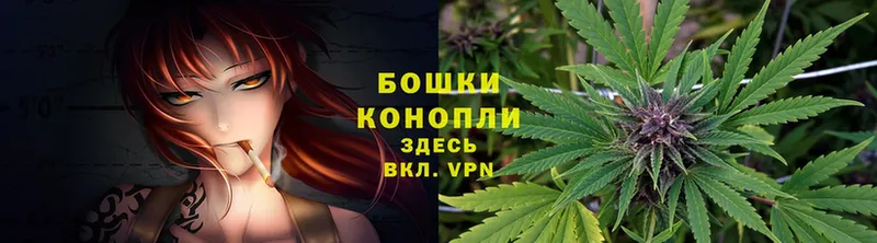 Каннабис Amnesia  kraken   Новомичуринск 